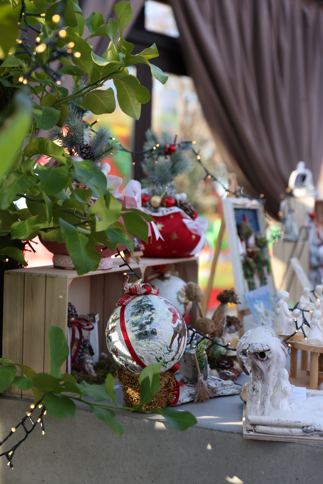 Winter Magic at D’Orangerie